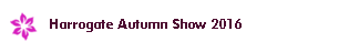 Harrogate Autumn Show 2016